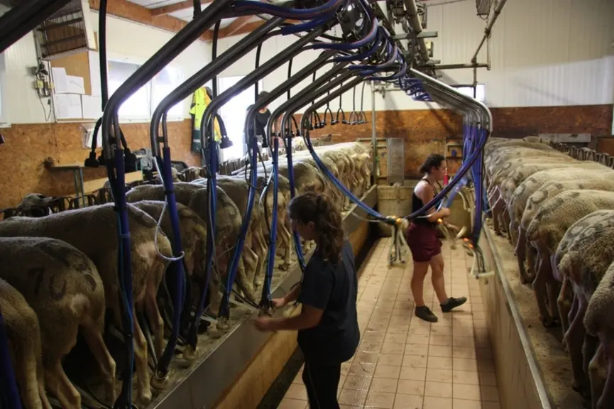 Alain Hardy, directeur d’exploitation de lycée agricole