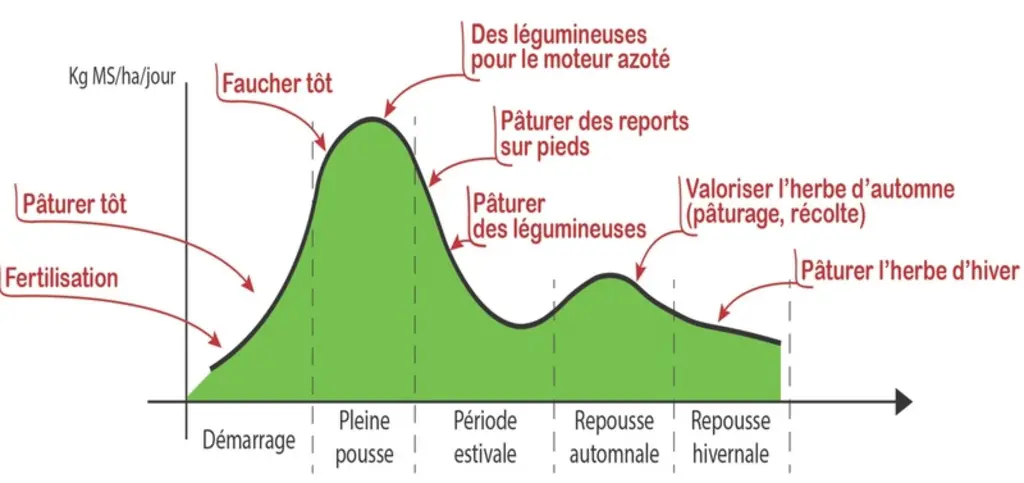 L'herbe et les prairies demandent d'agir au bon moment, tout au long de l'année.Source : Idele