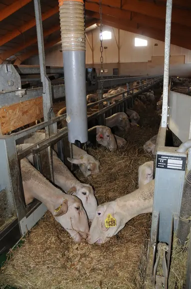 La densité de l’aliment peut changer d’une livraison à l’autre. Il faut régulièrement peser les seaux et calibrer les distributeurs.