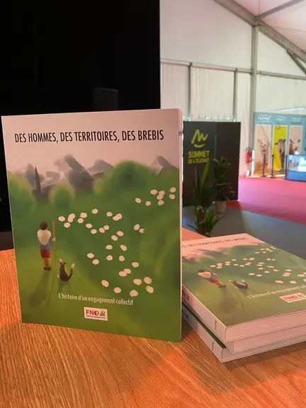 Des Hommes Des Territoires Des Brebis