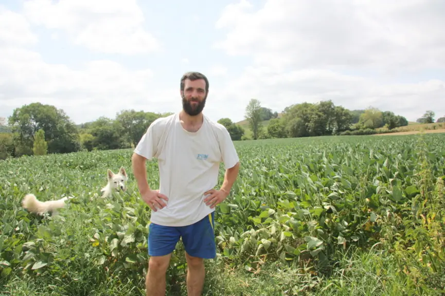 Pierre Couillet élève 330 brebis laitières qui sont nourries au soja produit sur l'exploitation.