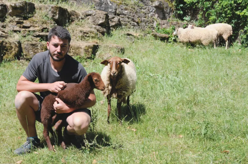 Jean Landes a intégré l'écopâturage dans l'offre commerciale de Landes espaces verts. Ses moutons assurent l'entretien des abords du château Castelnau