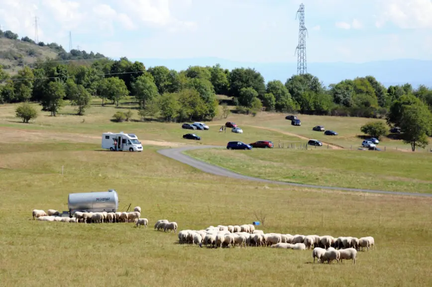 Dans le Puy-de-Dôme, l'écopâturage permet l'entretien de 35 hectares du circuit automobile de Charade, dont le parking.