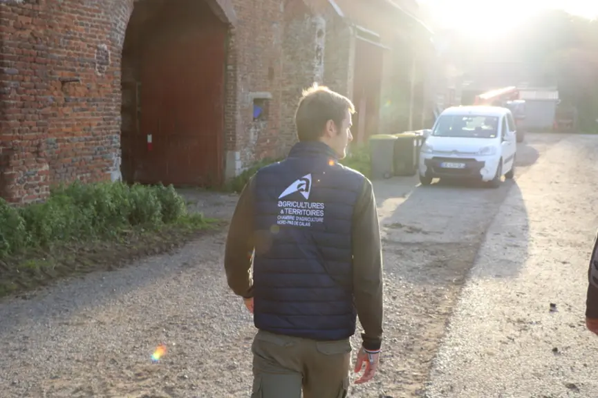 Un conseiller ovin de chambre d’agriculture
