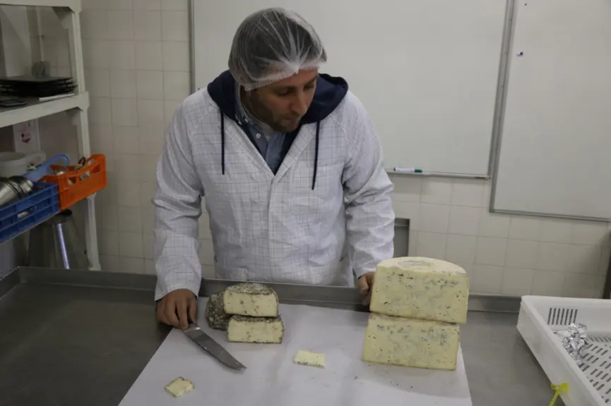 Les conseillers technologiques fromagers de Carmejane