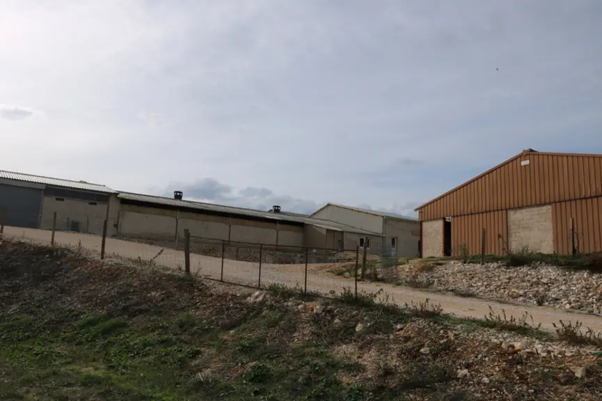 Le Gaec Fraysse des Camps, dans le Lot, est passé de la production d'agneaux à la livraison de lait de brebis. Les bâtiments ont été agrandis et moder