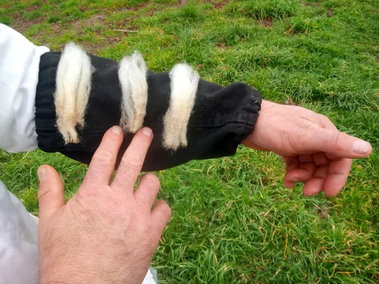 Les salons et concours agricoles sont des bonnes occasions pour accéder à plusieurs individus de chaque race, permettant de réaliser de rapides examen