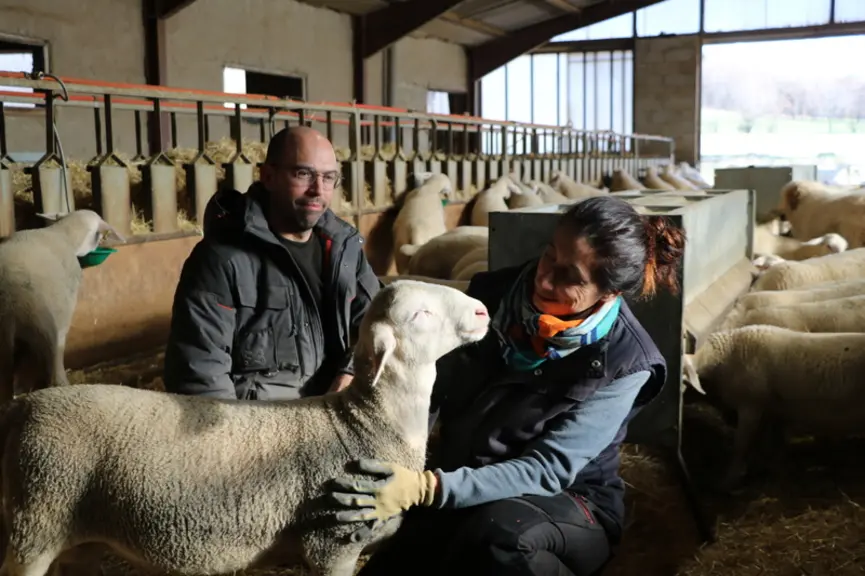 Julien Bonnet et Sabine Lopez enchaînent les projets sur leur exploitation : passage au bio, découpe à la ferme et vente directe, pâturage dans les la