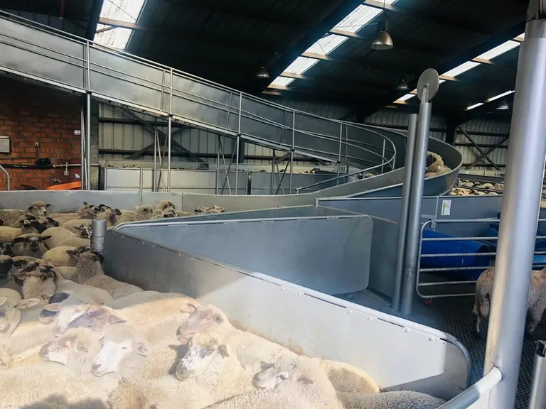 Au vu des longues distances qui séparent les fermes des abattoirs, ceux-ci doivent être en capacité d'aller jusqu'au bout du process. Ici, un abattoir