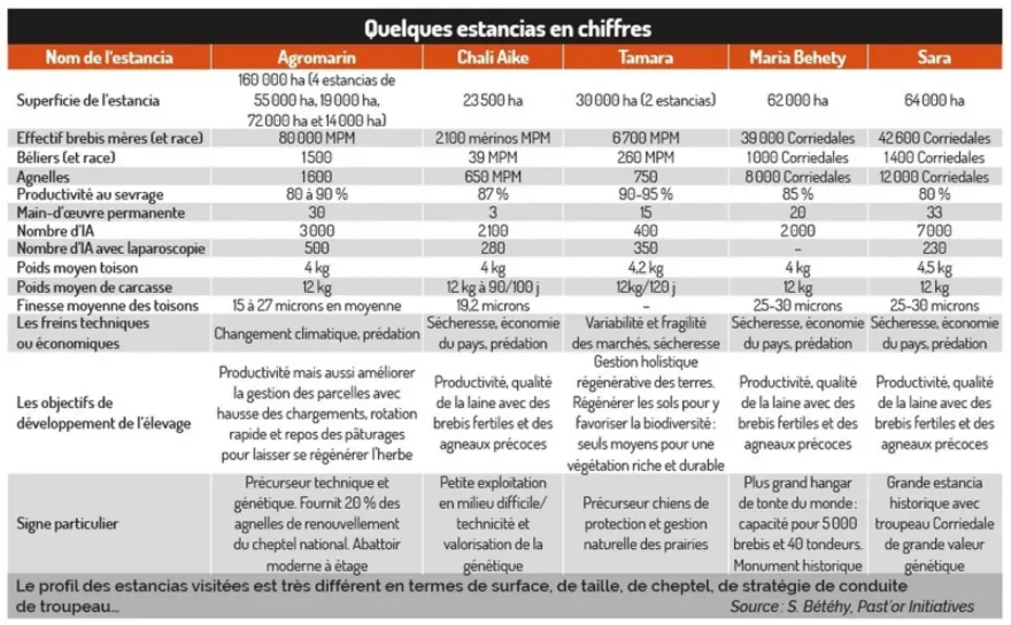 Huit éleveurs ovins provençaux en Patagonie australe : à la découverte des estancias du bout du monde