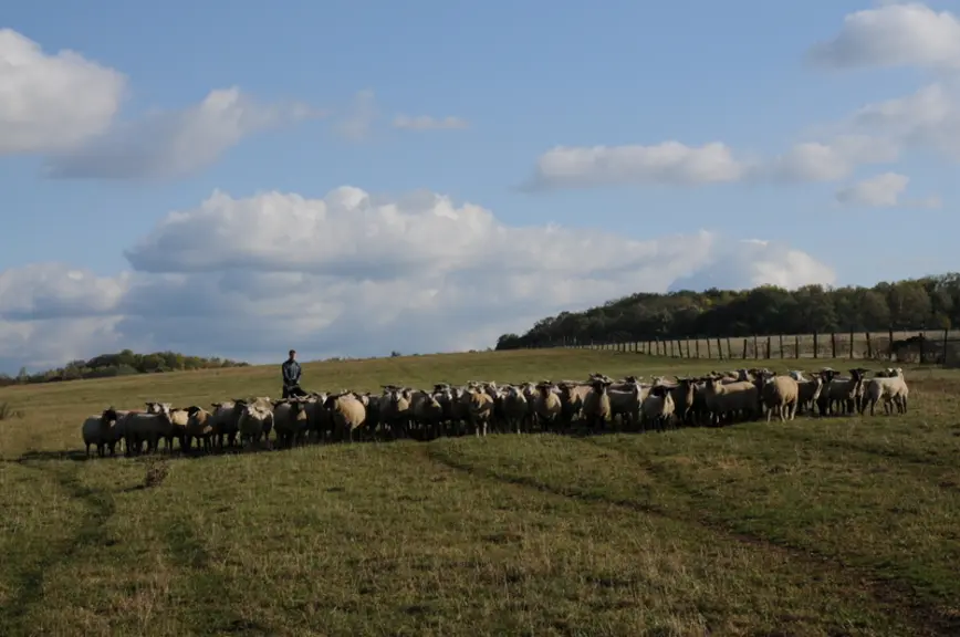 Les prairies peuvent être dégradées par de nombreux facteurs : événement naturel, conduite du troupeau, itinéraire technique...