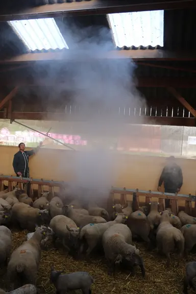 Le test au fumigène permet d'observer la circulation de l'air en bergerie.