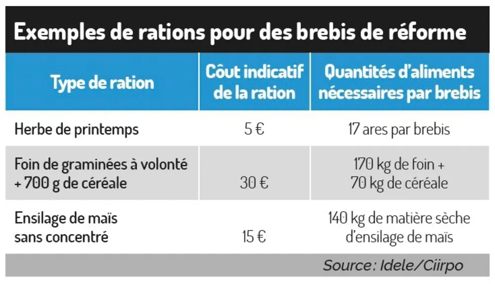 Réformer rapidement les brebis improductives