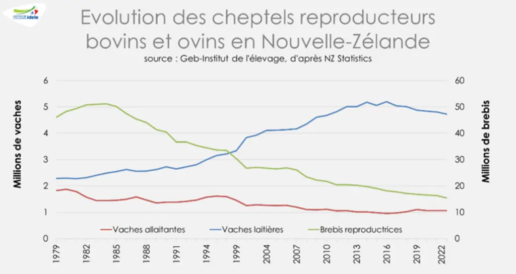 <p>Face à la concurrence australienne, les producteurs ovins de Nouvelle-Zélande se voient contraints de réduire leurs cheptels.</p><p>(Source : GEB -