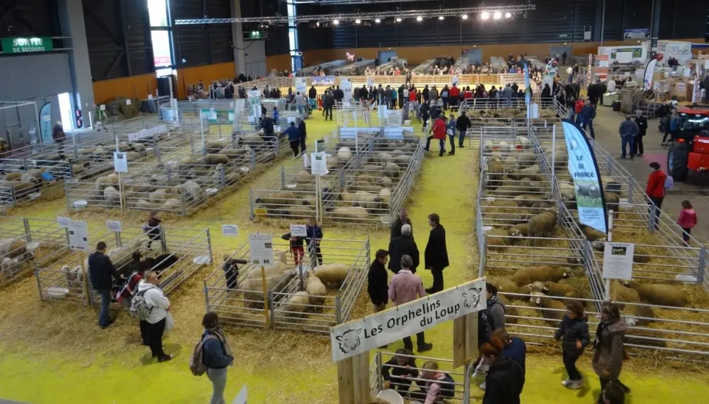 Chaque année, un important pôle ovin anime Agrimax.