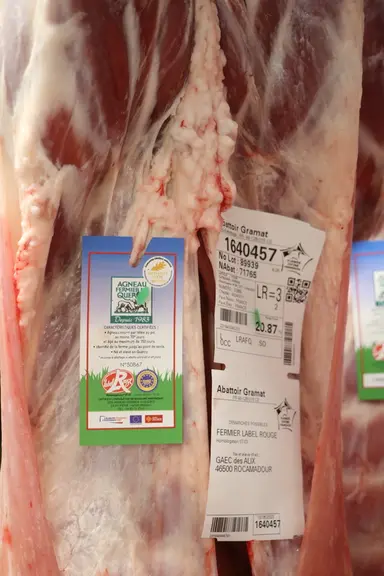 Fierté de Destrel Viandes, l’agneau fermier du Quercy est régulièrement primé au concours général agricole et se retrouve dans toute la France, jusque