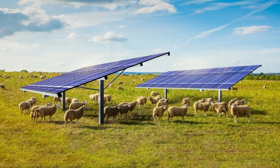 L’agrivoltaïsme rayonne à Tech-Ovin