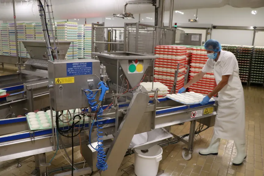 La gamme de produits à base de lait de brebis bio est principalement orientée sur l'ultrafrais et les desserts. Un fromage frais et un affiné sont éga