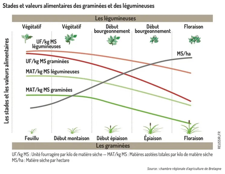 Optimiser l’alimentation distribuée à ses ovins allaitants