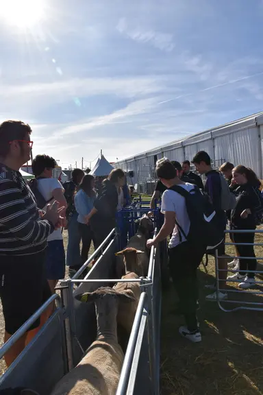 Les élèves du lycée agricole de Rochefort-Montagne regardent attentivement comment évaluer la note d'état corporel des brebis.