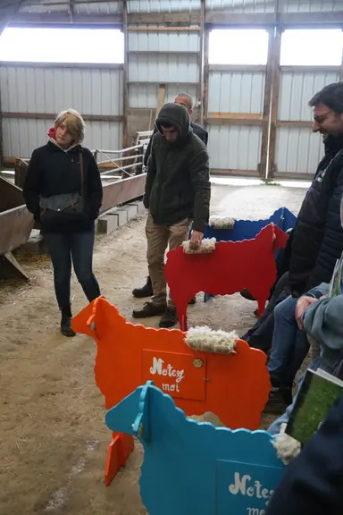 Les participants ont pu s'exercer à la palpation et à l'attribution de note d'état corporel des brebis, grâce aux mannequins Inn'ovin.