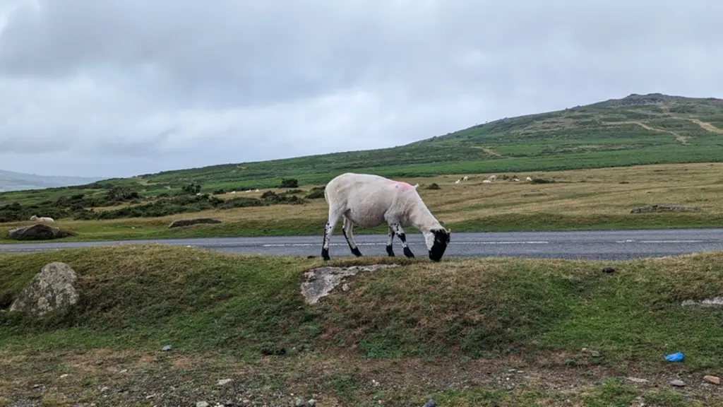 Le Dartmoor est une région montagneuse du centre du Devon, en Angleterre. Ses paysages rudes de landes et les affleurements de granit sont propices au