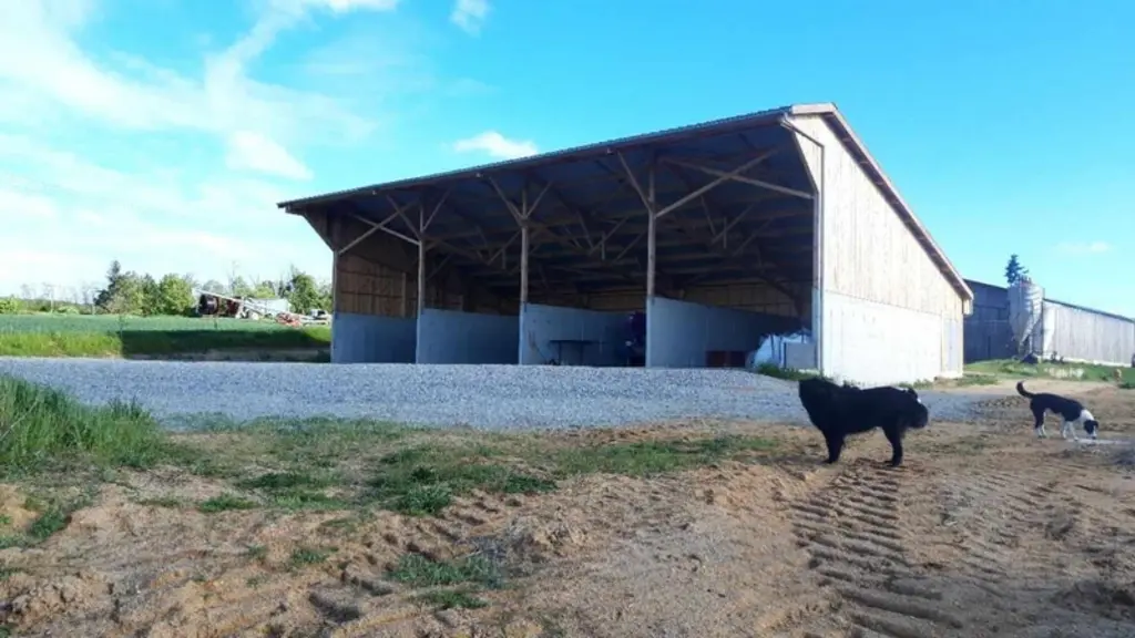 L'installation de séchage du fourrage aérovoltaïque permet de gagner en qualité des foins et du grain. Le coût de l'investissement est compensé par le