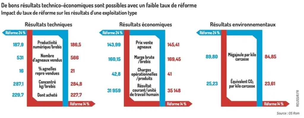 Pourquoi et comment réformer ses brebis allaitantes