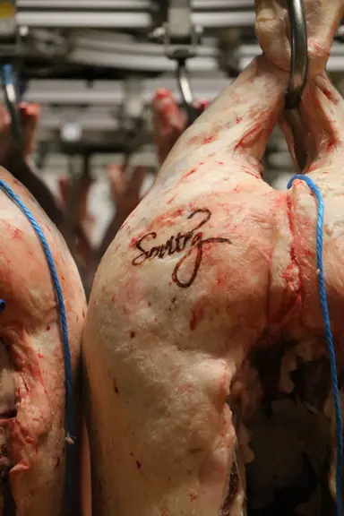 La signature Sovileg n'est apposée que sur les plus belles pièces.
