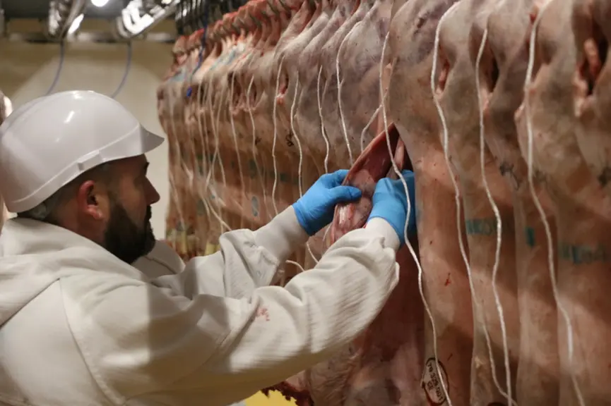 Un jour avec Rodolphe Lepoureau, directeur de l'abattoir spécialisé en ovin Sovileg à Thouars, dans les Deux-Sèvres.