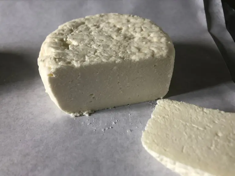 Après démoulage et égouttage, les fromages à base de caillé de brebis broyé avant moulage présentent une structure homogène satisfaisante mais une tex