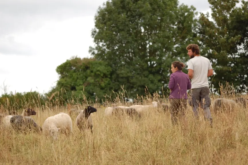 Barbara et Léo vendent tous leurs agneaux Landes de Bretagne en direct et misent sur un système en autonomie, basé à 100% sur le pâturage.
