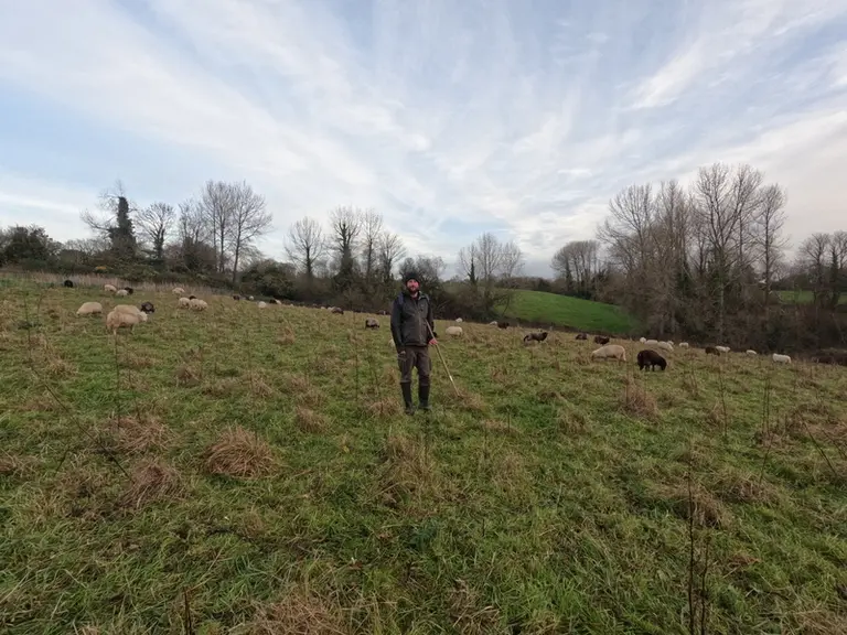 Les mises bas ont lieu en plein air entre novembre et décembre.