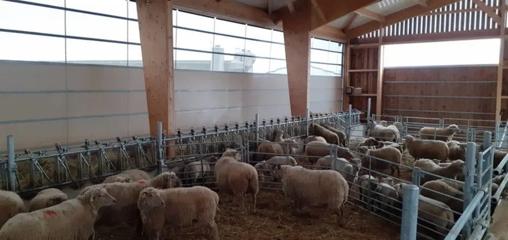 Le monitoring des bâtiments d'élevage (température, hygrométrie, ventilation, etc.) fait partie des centres d'intérêt communs entre éleveurs allaitant