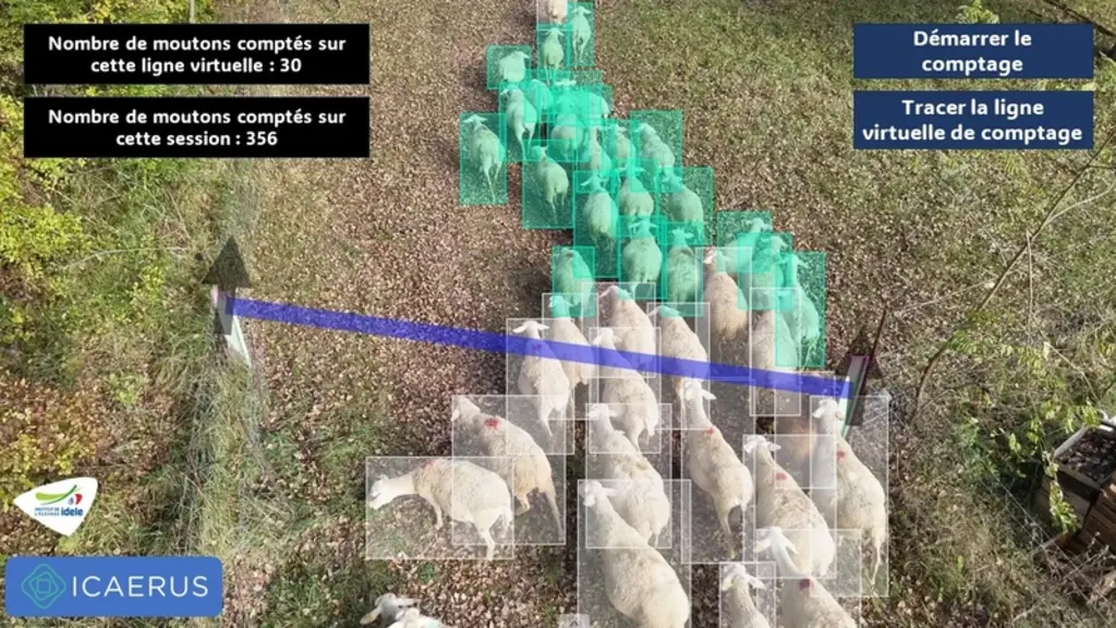 Le drone pourra peut-être bientôt servir à compter rapidement toutes ses brebis grâce à l'intelligence artificielle.