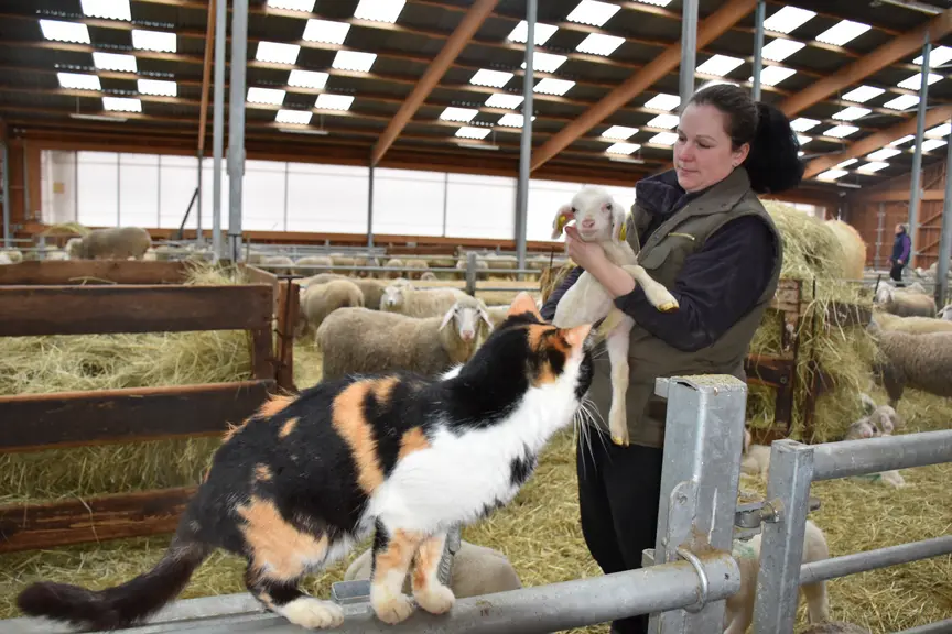 Virginie Ebner est éleveuse de brebis en Alsace.
