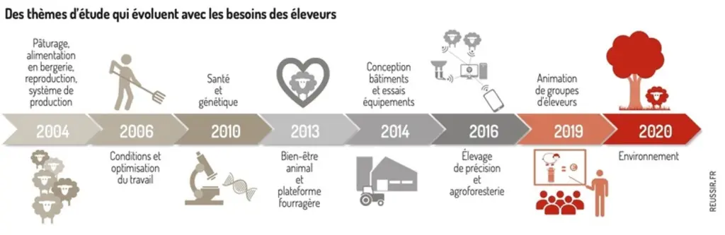 Innover et tester pour les éleveurs ovins