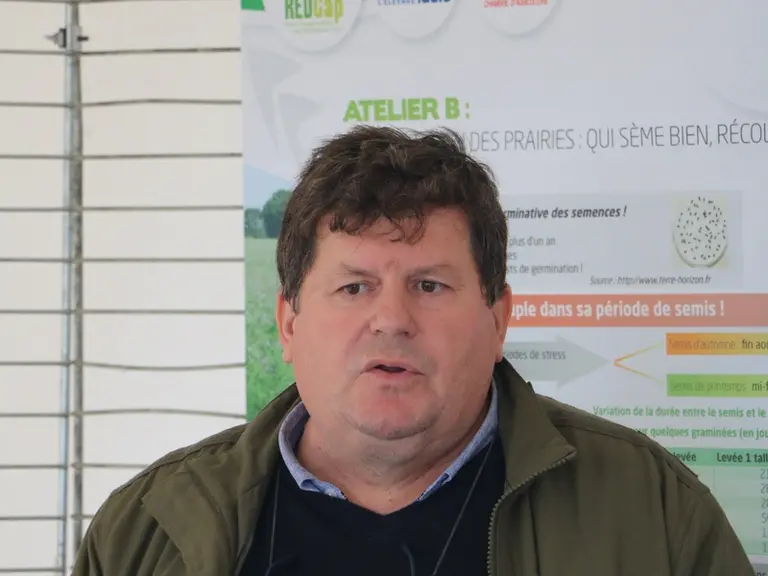 Patrice Pierre, Idele