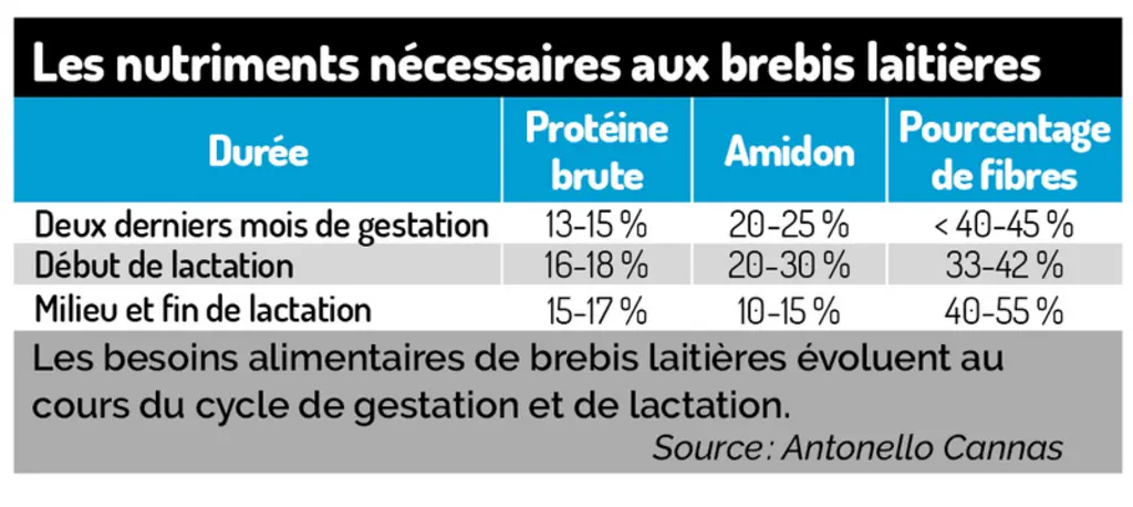Optimiser l’alimentation des brebis laitières