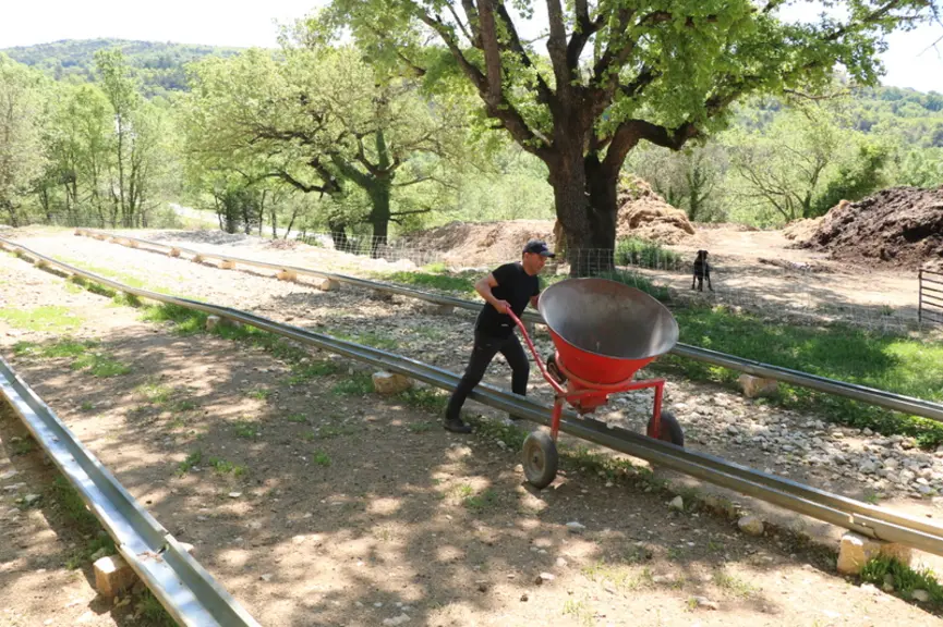 La brouette distributrice de grain pour les brebis