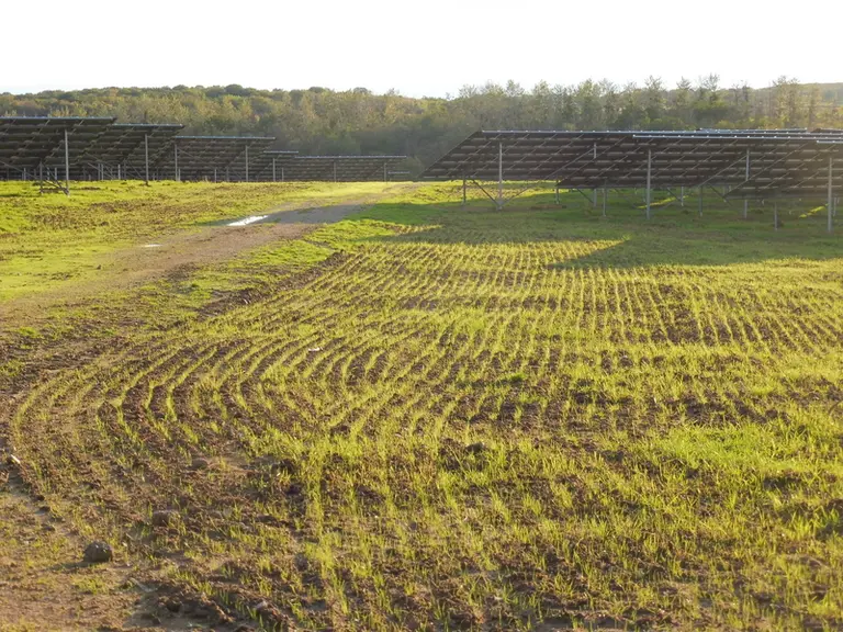 <em class="placeholder">Une prairie semée avec des panneaux solaires </em>