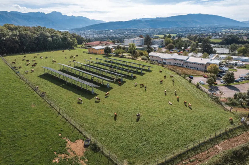 <em class="placeholder">Démonstrateur agrivoltaïque bovin de Poisy, Haute-Savoie géré par Voltalia.</em>