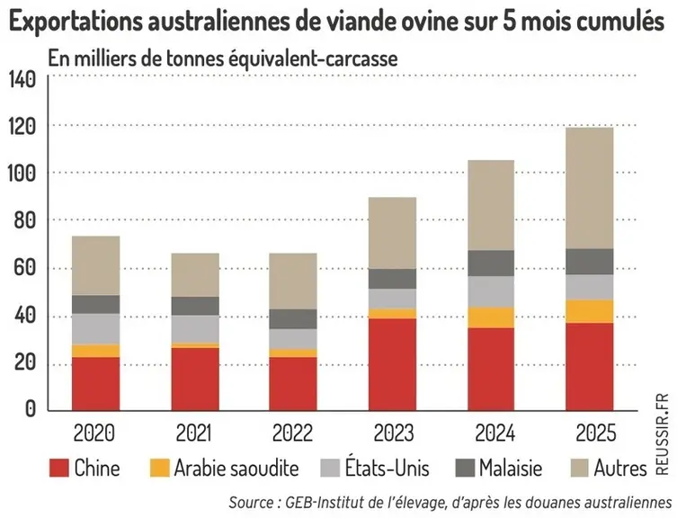 Graphique : Exportations australiennes de viande ovine sur 5 mois cumulés ©GEB-Institut de l’élevage, d’après les douanes aust