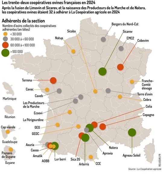 Les trente-deux coopératives ovines françaises en 2024Après la fusion de Limovin et Sicarev, et la naissance des Producteurs d
