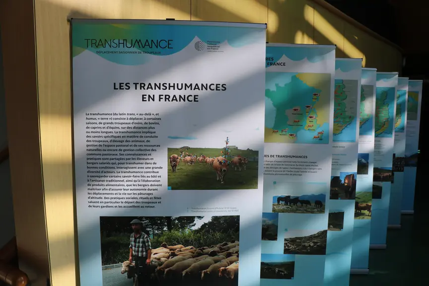 Exposition de photos autour du pastoralisme au Sommet de l'Elevage 2025.