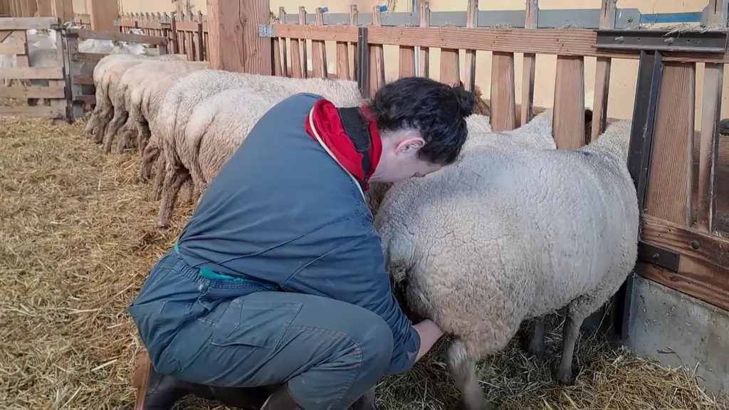 Une personne fait un constat de gestation