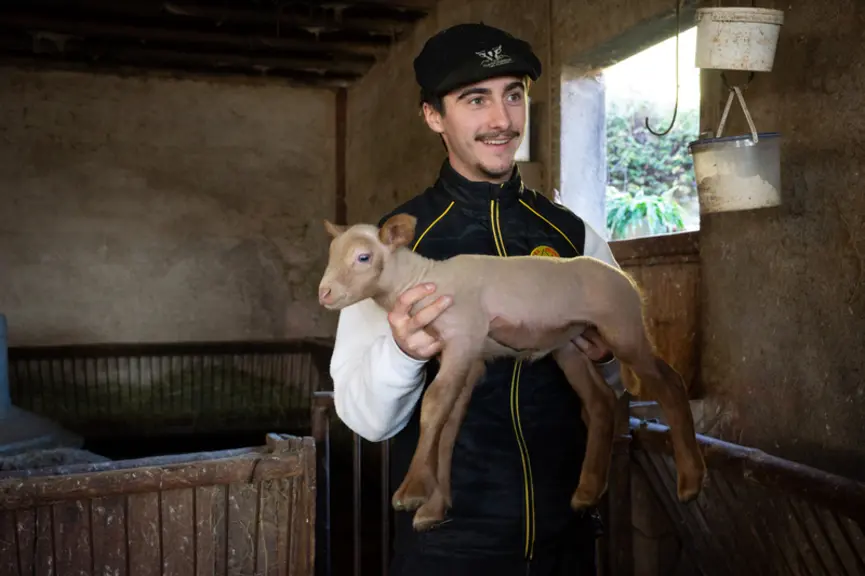 <em class="placeholder">Un jeune berger tient un agneau Montagne noire.</em>