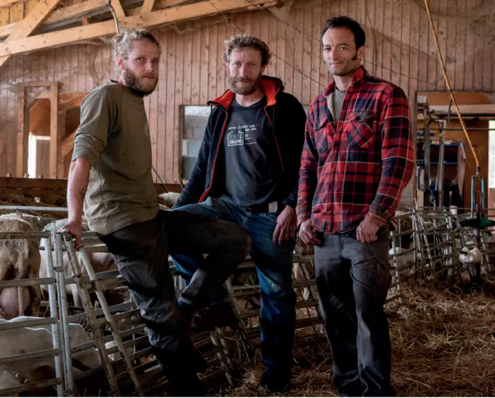 Les trois associés de l'EARL posent dans la bergerie.