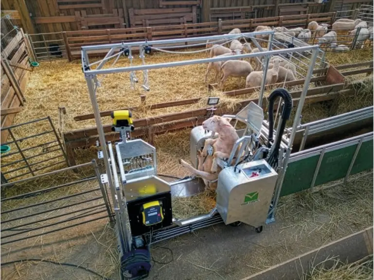 <em class="placeholder">Cage de retournement hydraulique où la brebis est assise</em>