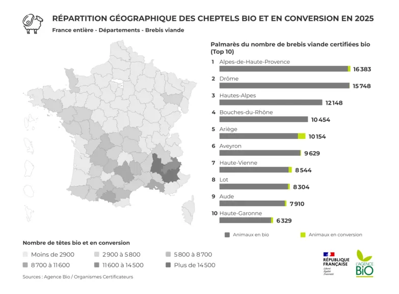 Carte de France avec la répartition des brebis viande.